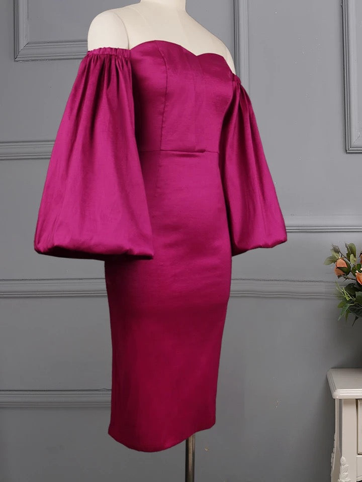 Raiza elegantes kleid - RAIZA Collection